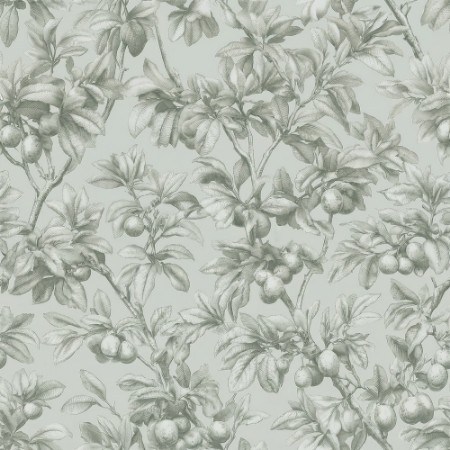 Picture of Esaias Green - 1105101-04